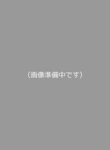 横溝屋敷文化財指定15周年記念　江戸時代の獅子ヶ谷村　-絵図・古文書で探る村と名主-