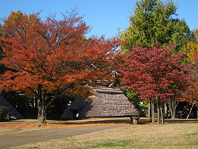 大塚遺跡（環濠集落）