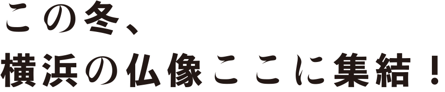 この冬、横浜の仏像ここに集結！